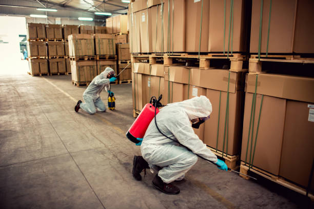 Best Mosquito Control Services  in Kenton, OH