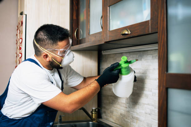 Reliable Kenton, OH Pest Control Solutions