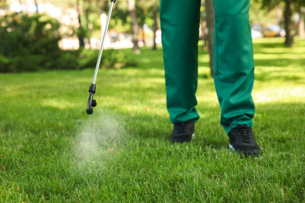 Best Affordable Pest Control Services  in Kenton, OH