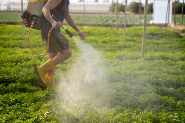Best Affordable Exterminators  in Kenton, OH
