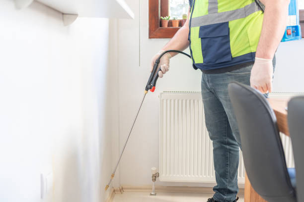 Best Rat Extermination Near Me  in Kenton, OH