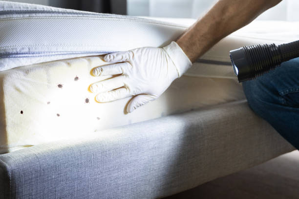 Best Bed Bug Extermination  in Kenton, OH