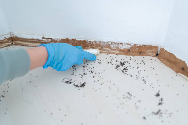 Best Residential Pest Control  in Kenton, OH